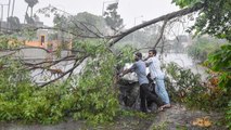 Cyclone Tauktae: At least 4 dead in Gujarat, CM Vijay Raupani holds high-level meet