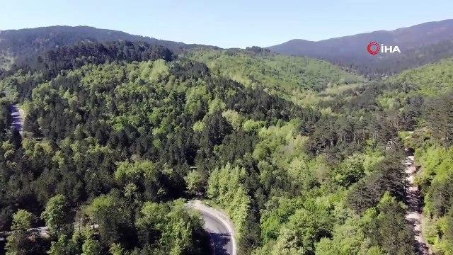 Kazdağları yeşilin binbir tonuna ev sahipliği yapıyor