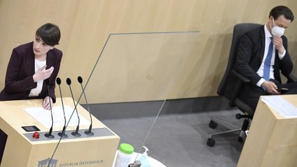 Stainer-Hämmerle: "Grüne sind am stärksten unter Druck"