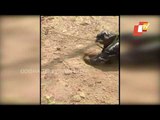 Bomb Squad Diffuses Pressure Cooker Bomb At Sukma Chhattisgarh
