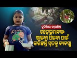 Special Story | Bhadrak Girl Takes Saves Birds From This Scorching Heat - Watch OTV Report