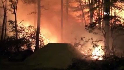 - New Jersey'de iki farklı noktada orman yangını