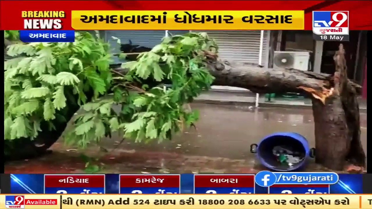 Trees Collapse, water logging due to heavy rain...