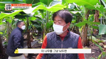 파산까지 갔던 갑부의 화훼농장...ㅠ 고집스러운 남편을 믿고 한번 더 지지해준 아내