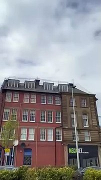 Gull trapped in netting at South Shields bank