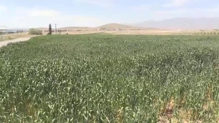 Çiftçiler Cumhurbaşkanı Erdoğan'ın açıkladığı desteklerden memnun