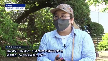 [다시 간다]온정 고맙지만…지정보다는 일반헌혈로