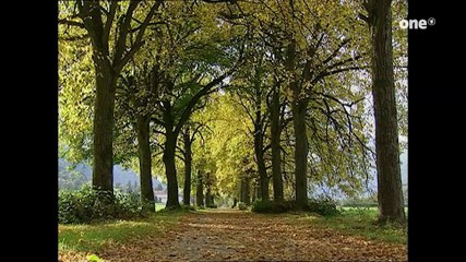 Sturm der Liebe Folge 54