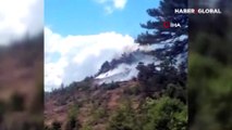 Balıkesir'de orman yangını çıktı