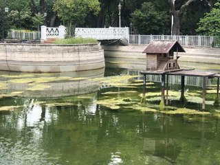YILDIZ PARKI'NDA TEPKİ ÇEKEN GÖRÜNTÜ