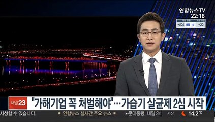 "가해기업 꼭 처벌해야"…가습기 살균제 2심 시작
