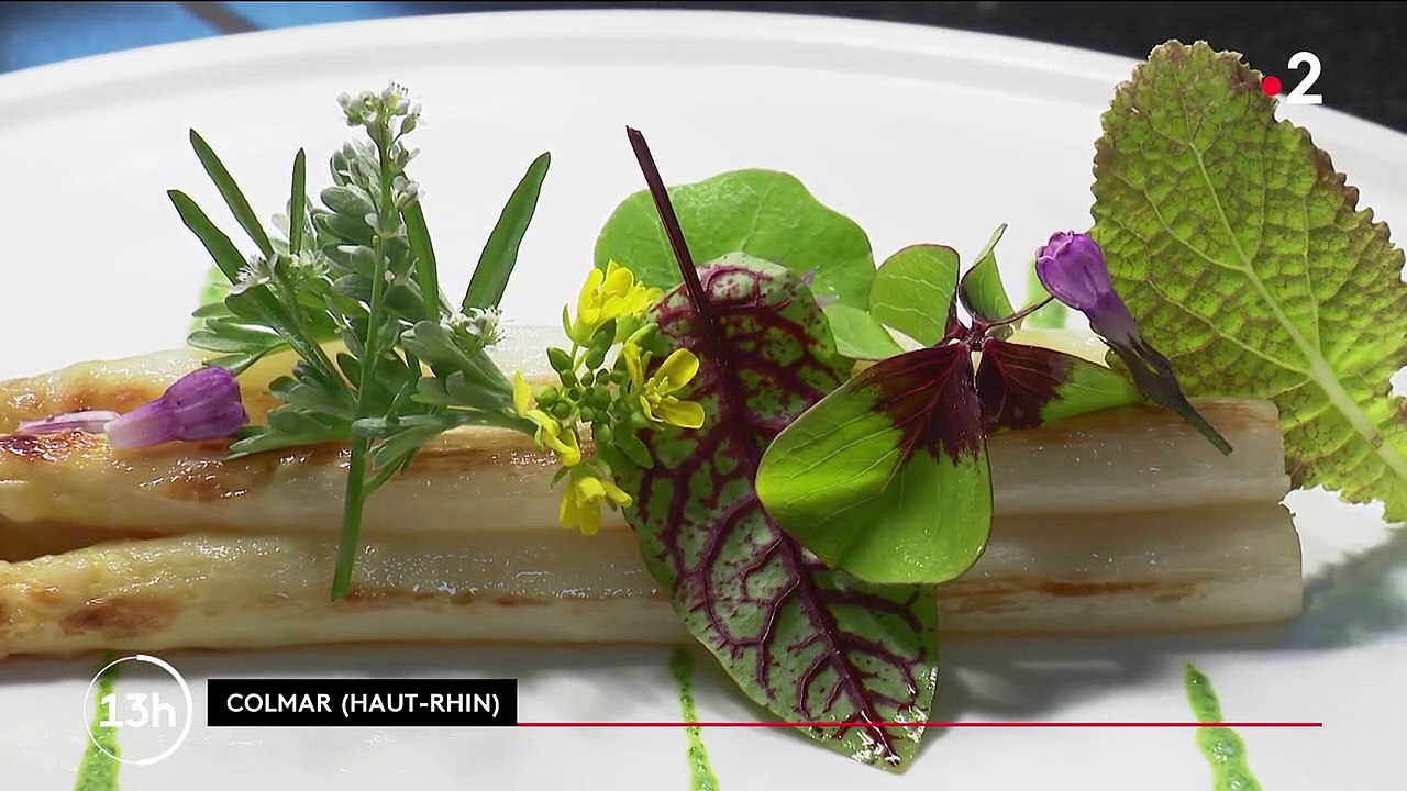 Restauration : désinfecter des plats avec des lampes à UV pour limiter la transmission du Covid-19