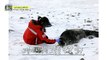 [HOT] Park Ji-gang, who falls into a penguin and a seal, 아무튼 출근! 210518