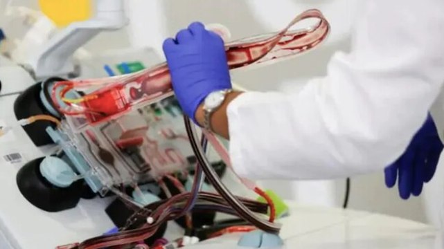 Govt drops plasma therapy for Covid-19 patients; BJP leaders prescribe cow urine; more