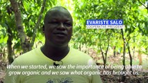 Cocoa farmers taste sweet success in Ivory Coast