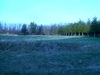 BY COTLA EN DIRT 200CC