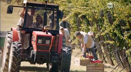 TeleSpot Sequenza Spot Rai1 14-02-2015 #6