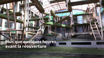 Dans un zoo de la Loire, "le bout du tunnel" avant la réouverture