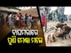 Death Of Sheeps | Villagers In Niali Allege Attack By Unknown Creature, Seek Compensations