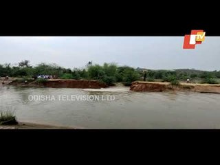 Tamasha Main Canal Caves In Near MV-7 In Malkangiri, Water Enters Villages | Odisha