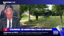 Story 5 : Un jardin public pour les drogués à Stalingrad - 18/05