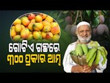 Special Story | Meet Mango Man Of India Who Grows 300 Types Of Mangoes In One Tree