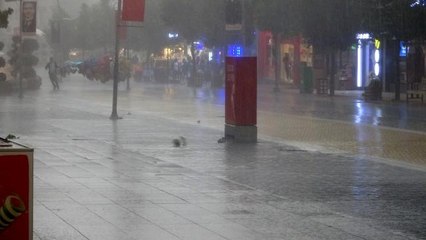 Bolu'da şiddetli fırtına ağaçları devirdi