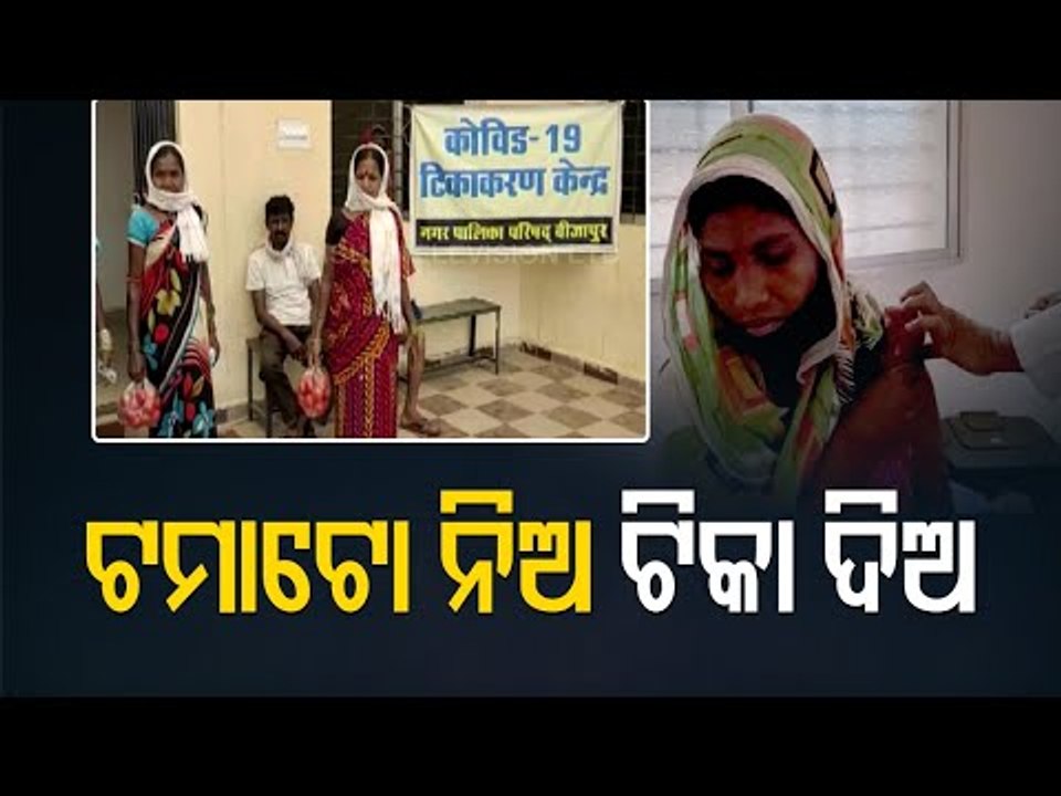 Tomatoes For #COVID19 Vaccine | Chhattisgarh Di...