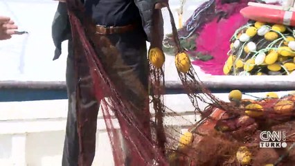 Balıkçıların salya kabusu