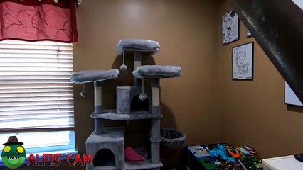 Roblox Piggy In Real Life Book 2 The Sewer (Alfis Killer Alligator)