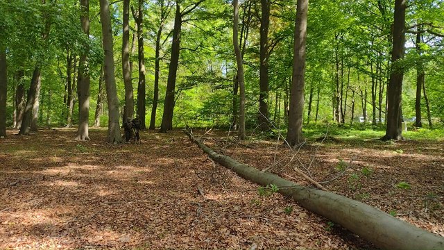 La ministre de la Défence Ludivine Dedonder visite l'unité de chenil à Oud-Heverlee