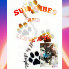 preparing food for my furbabies