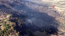 Aydın’da makilik ve tarım arazisi yangını