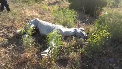 Son dakika haber... Beş kilometre yürüdüler, film gibi operasyon ile kurtardılar