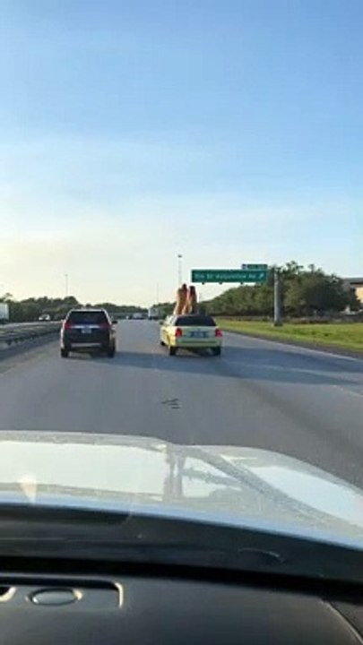 Cluckin' Chicken Limo Styles down Florida Interstate