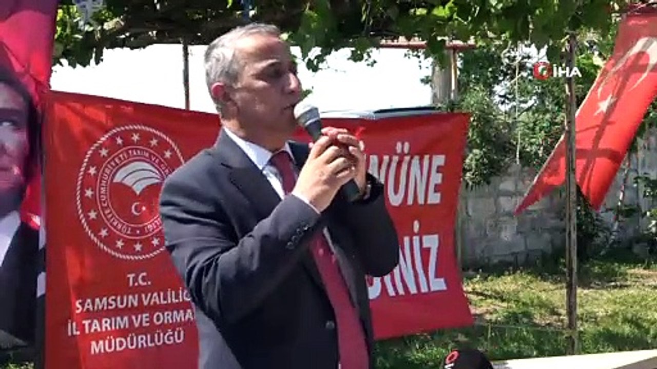 - Bafra’da Fiğ Yetiştiriciliği Tarla Günü