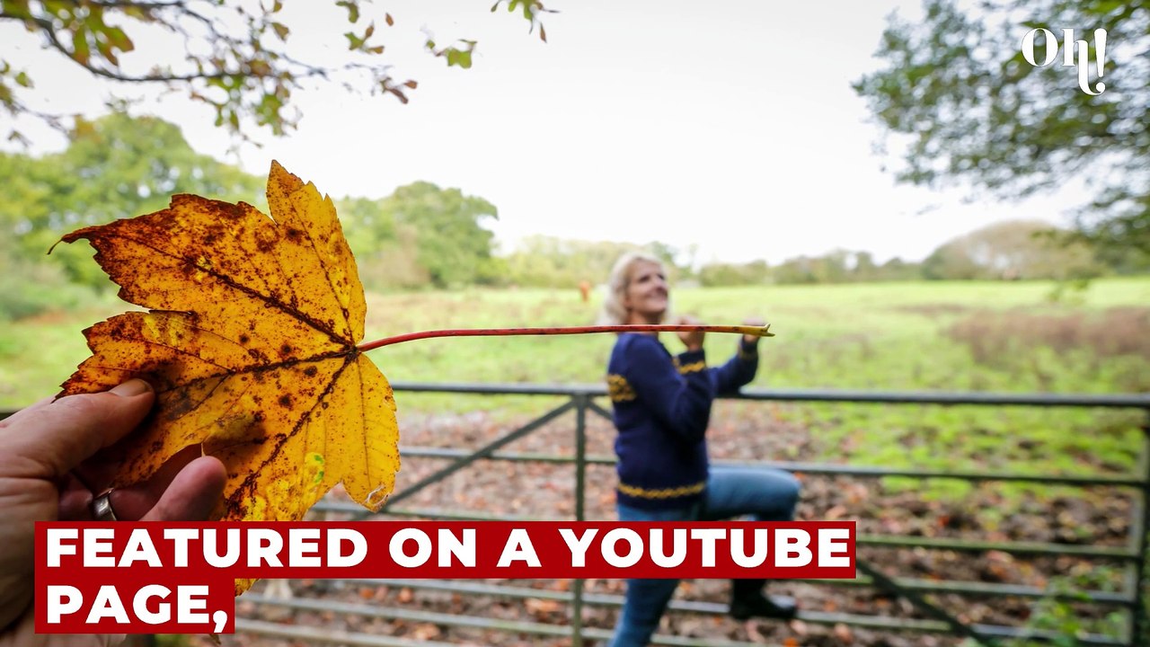 Optical illusion: What you see first reveals your values in life