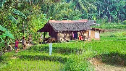 Relaxing Rain Sounds For Sleeping