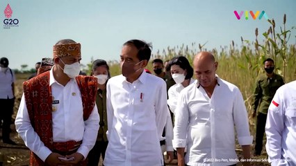 Inilah Kisah 4 Presiden RI yang Lahir di Bulan Juni