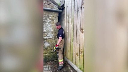 Fire crews free sheep stuck between walls