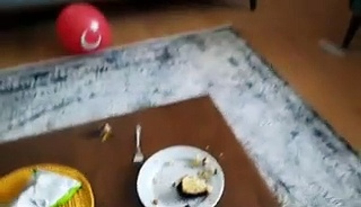 Esila altına çiş yapmış أفضل سلسلة قصص تربوية وأخلاقية للأطفال حفلة عيد ميلاد علي أوراس !!  !! ayyyllliip