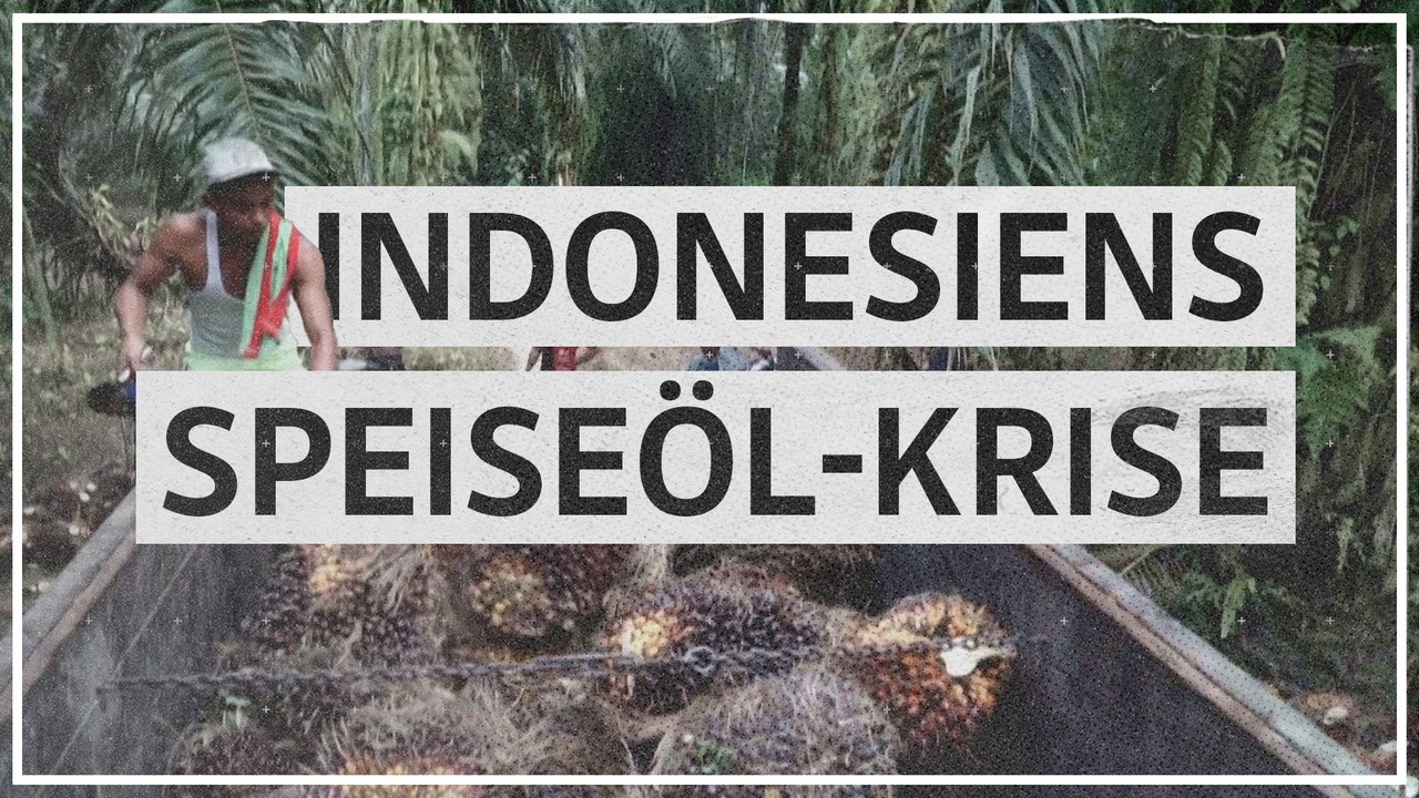 Indonesien: Teures Speiseöl trotz hoher Produktion