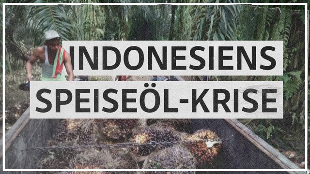Indonesien: Teures Speiseöl trotz hoher Produktion