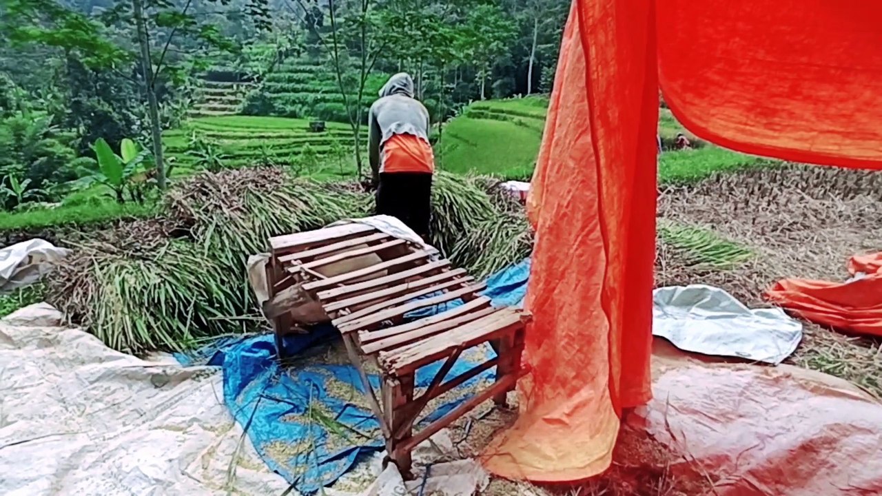 Village life