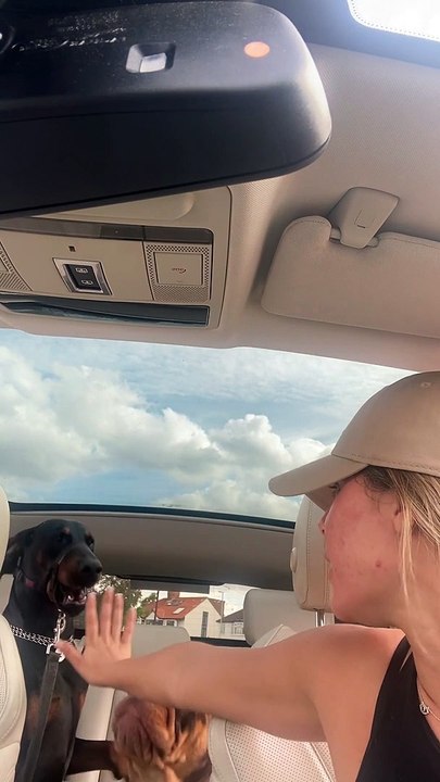 Rowdy Pups Get a Word From Mom