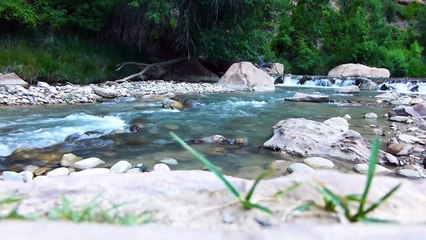 MUSIK PENGHANTAR TIDUR - PENGHILANG STRESS - SUARA SUNGAI