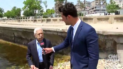 Deniz salyası kabusu geri mi dönüyor?