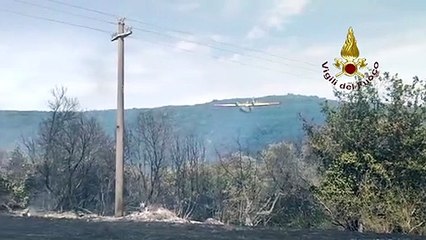 Terni, l'incendio di bosco a Taizzano