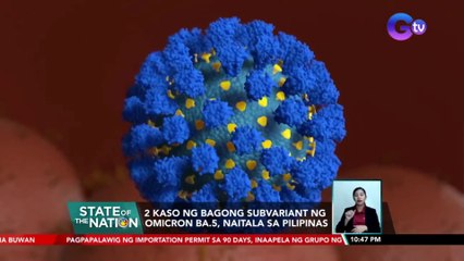 2 kaso ng bagong subvariant ng omicron BA.5, naitala sa Pilipinas | SONA