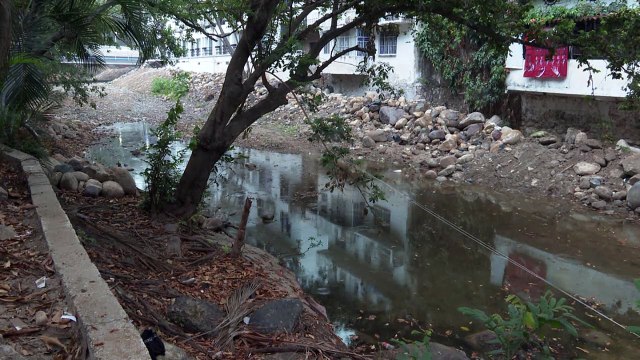 Aguas negras en el cuale | CPS Noticias Puerto Vallarta